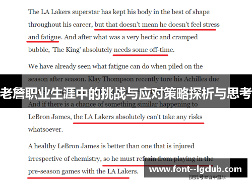 老詹职业生涯中的挑战与应对策略探析与思考